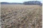 Property photo 85 - 98+/- Acres Offered in 6 Tracts or Combinations, Noble County, Indiana Farm